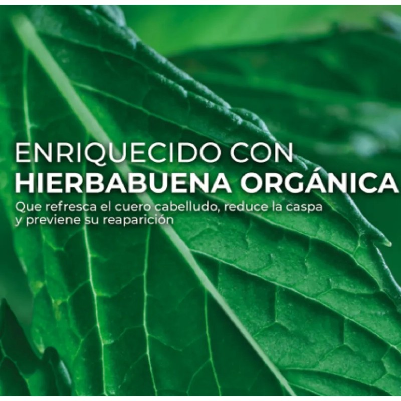 Shampoo Yves Rocher Anticaspa Tratamiento Cabello