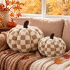 Leinuosen 2 Pcs Fall Pumpkin Pillows Brown 3D Pumpkin Shaped