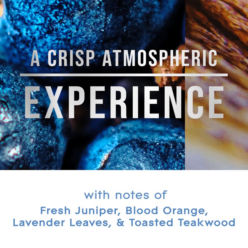 Glade Automatic Spray Refill, Air Freshener for Home and Bathroom,