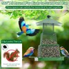 AIMALL Robust All-Season Automatic Bird Feeder with Easy Refill Design,