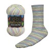 Wollbiene Socks Colour Sock Wool, 100 g, 4-Ply Knitting and
