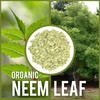 Dragonfly Herbs Neem Leaf Tea, 150g Tea Cut Loose Leaves,