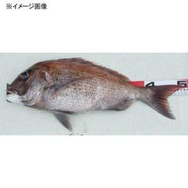 Taka Sangyo V-135 Escargot Measure