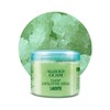 Guam Scrub Corpo Algas Crub 700 g
