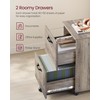 VASAGLE 2-Drawer File Cabinet, Small Rolling Filing Cabinet for Home
