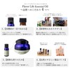 Flavor Life Essential Oil Tonka Beans Absolute 10% 0.1 fl