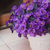 Artificial Flowers for Outdoors, 12 Bundles UV Resistant Pansy, Purple