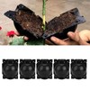 5Set Reusable Plant Rooting Device Grafting Reproduction Growing Box Gardening