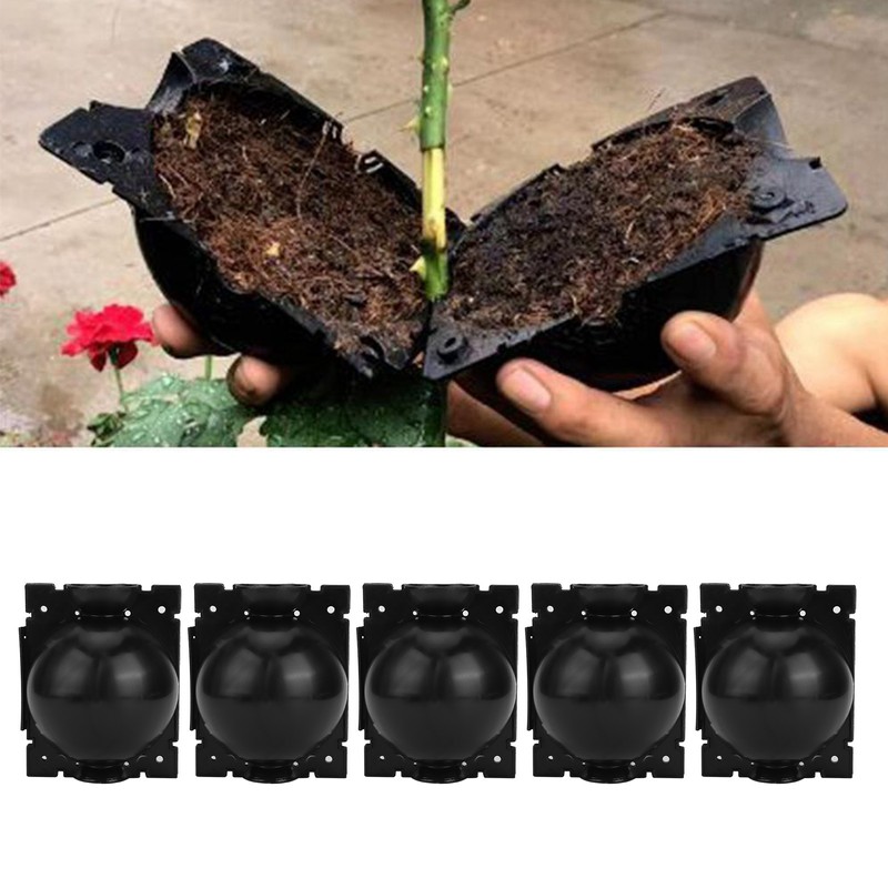 5Set Reusable Plant Rooting Device Grafting Reproduction Growing Box Gardening