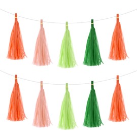 MECCANIXITY 40Pcs Dark Green, Glass Green, Bright Orange, Peach Pink Tassel Garland Banner with Rope Tissue Paper Tassels Party DIY Kits for Anniversary Wedding Birthday Party