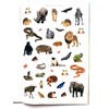 Greenbrier International in The Wild Sticker Activity Book (with Over