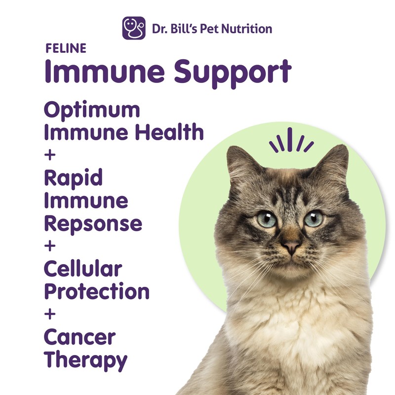 Dr. Bill’s Feline Immune Support | Boosts Cat Immunity and