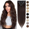 Silk-co 8 PCS Hair Extensions Clip in Hair Extension #02