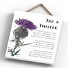 Global Designs Tae A Thistle Scottish Flower Watercolour Effect Illustration