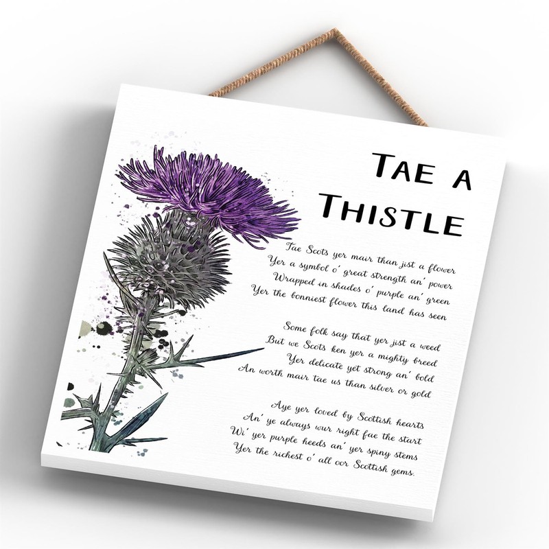 Global Designs Tae A Thistle Scottish Flower Watercolour Effect Illustration