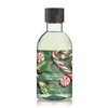 The Body Shop Peppermint Candy Cane Shower Gel 250ml -