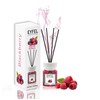 EYFEL Reed Diffusers for Home – BlackBerry Reed Diffuser Set