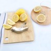 Zayookey Bird Lemon Squeezer Manual Lemon Squeezer Stainless Steel Handheld