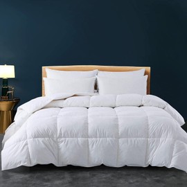 Cozynight Down Alternative Comforter-All Season Twin XLComforter Duvet Insert with Corner Tabs-Breathable-Box Stitched Reversible White Comforter 68x90 inches