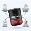 Creatina Monohidratada Cereza en Polvo | Estevia | 6g por