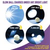 Chew King 2 Piece Glowing Fetch Ball
