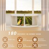 Window Bird Feeder for Viewing, 180° Extra Large Capacity Clear