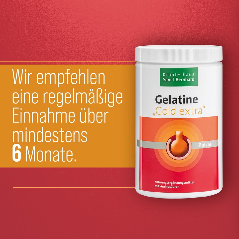 Sanct Bernhard Gelatine Gold Extra 525 g Pack of 1)