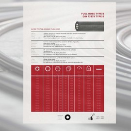 PROMOLINK Petrol Diesel Fuel Hose 6 mm 8 mm with 2 Fuel Filters and 8 Hose Clamps Fuel Hose Kit with Textile Braiding (6 mm / 2 Metres)