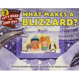 What Makes a Blizzard?