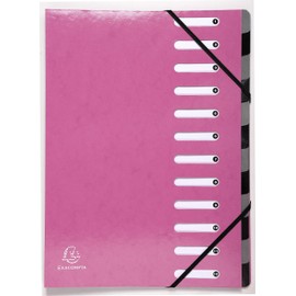 Exacompta - Ref 53928E - Iderama Collection - Harmonika Multipart File - 245 x 320mm in Size, Suitable for A4 Documents, 12 Multicoloured Tabbed Sections - Pink