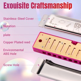 JDR Blues Harmonica Key of C, Mouth Organ 10 Hole 20 Tone with Case, Blues Armonica for Adults Professional Player Beginner Students Gifts Friends Teacher Parents|Pink
