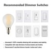 OPALRAY G45(G14) Mini Globe LED Bulb, 2W 200LM, Dimmable, 25W