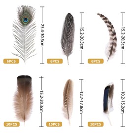 BelleVive 48 Pieces Natural Feathers Bulk - 6 Styles, 48 Pieces Different Natural Feathers, Peacock Feathers, Pheasant Feathers, Turkey Feathers for Crafts, DIY, Jewellery, Hat, Wedding
