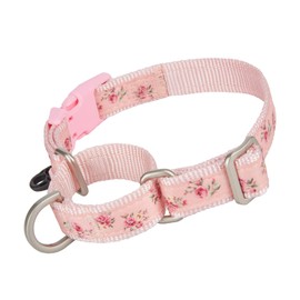 Petiry Martingale Dog Collar,Floral Pattern, Choke Collar with Safety Quick Release Buckle,Escape-Proof Anti-Pull for Small Puppy Dogs(Pink Floral,XS)
