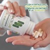 Bacticure Probióticos Para El Balance Del Sistema Digestivo. Sabor Sin