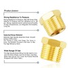 TAILONZ PNEUMATIC Brass Threaded Pipe Fitting 3/8 Inch BSP Male