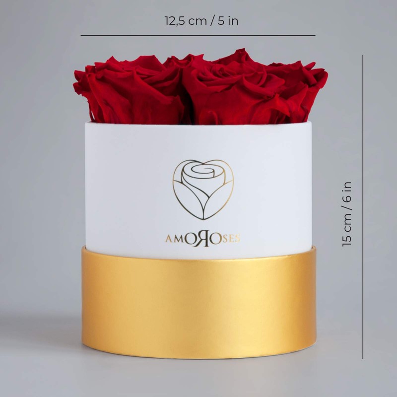 Amoroses Petite - Gift Box 5 Eternal Stabilised Roses -