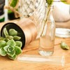 Garneck 4 Pcs Test Tube Hydroponics Vases Test Tube Vase