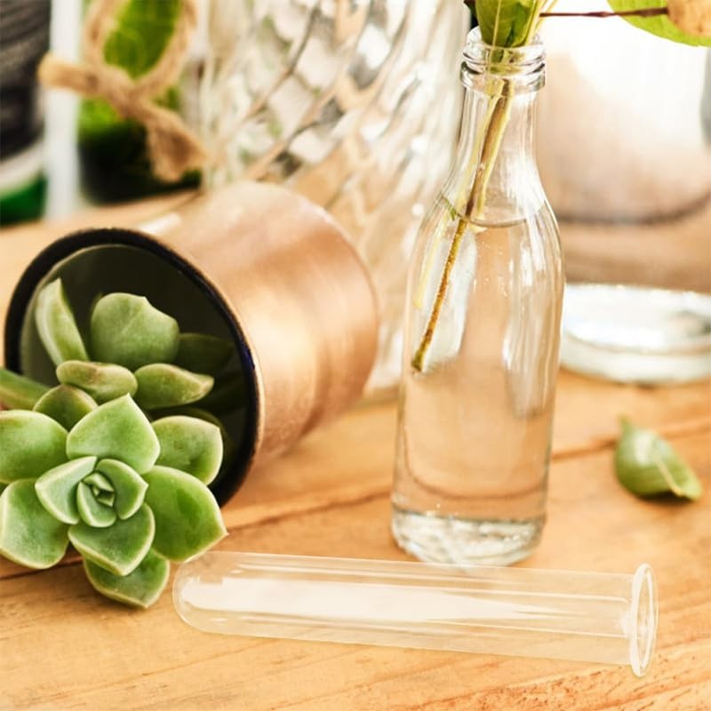 Garneck 4 Pcs Test Tube Hydroponics Vases Test Tube Vase