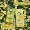 Herbal Essences Acondicionador Brillo Manzanilla & Pasiflora 400 ml