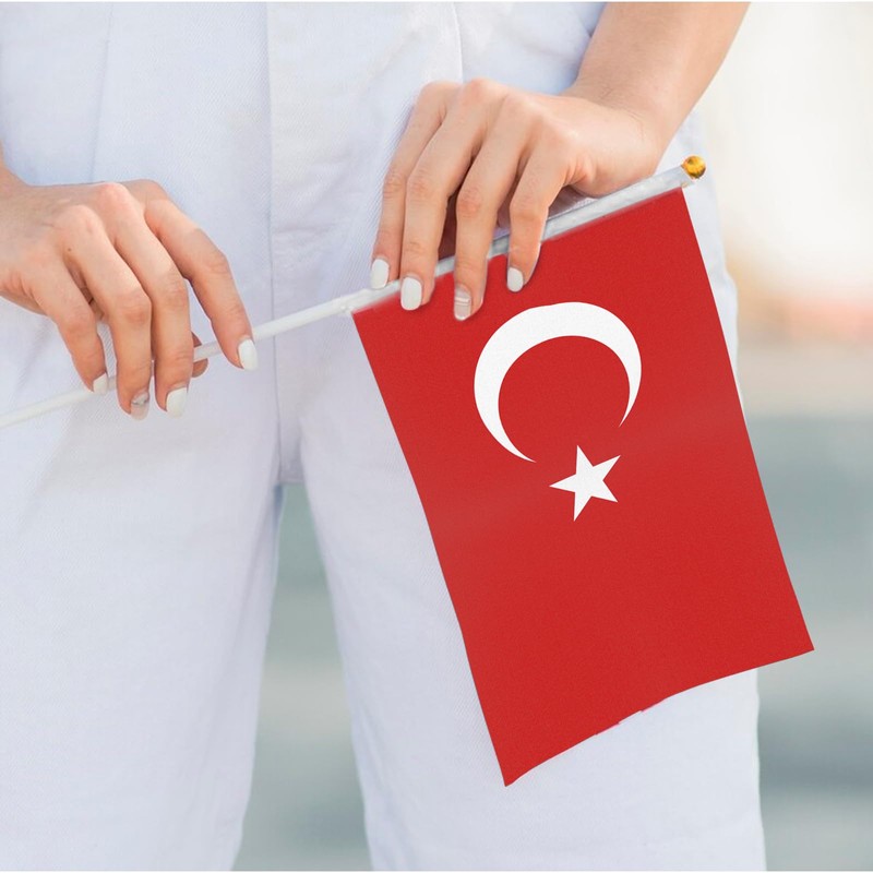 ASUNO 20 Pack Flags HandHeld Small Banners 14 × 21