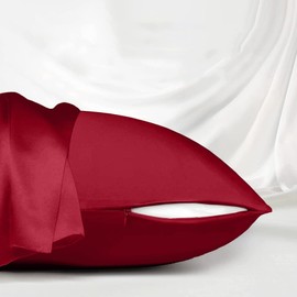 Red Silk Pillowcase for Hair and Skin Made in USA, 22 Momme Mulberry Silk Pillow Case with Zipper, 6A Grade Organic Silk, Cooling, Anti Acne, Soft, 1 Pc 20"x30" (Queen, Red)