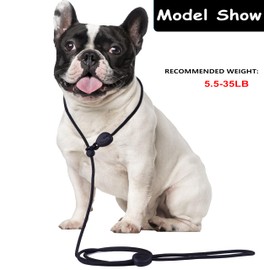 6FT Heavy Duty Slip Lead - No Pull Dog Training Leash, Comfortable & Lightweight, Suitable for Small to Medium Dogs (Black)