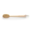 Earth Therapeutics Back Brush,FAR Reaching, Brush