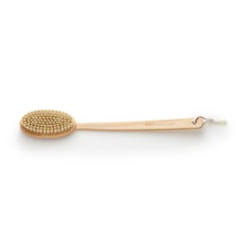 Earth Therapeutics Back Brush,FAR Reaching, Brush