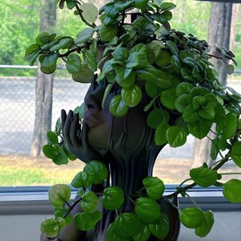 Poranlem Melted Woman Goddess Head Planter Indoor Medusa Face Flower Pot with Drainage and Tray Unique Succulent Pot Gift for Home Decor Dopamine Artistic Room (Black)