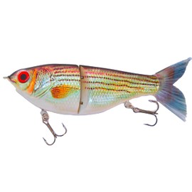 7" Pedigree Glider Glide Bait Swimbait Musky Striper Bass Fishing Lure Big Multi Jointed Shad Trout Slow Sinking (7" Pedigree Glider - Striped BASS)