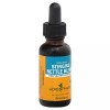 HERB PHARM RESPIRATORY SYSTEM STINGING NETTLE BLEND LIQUID EXTRACT 1