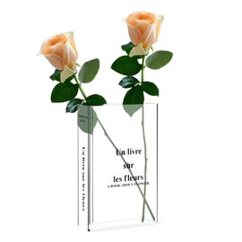 QFEHTHSK 1 Piece Transparent Vase, Creative Vase, Acrylic Vase, Decorative Vase, Table Decoration, Home Decoration