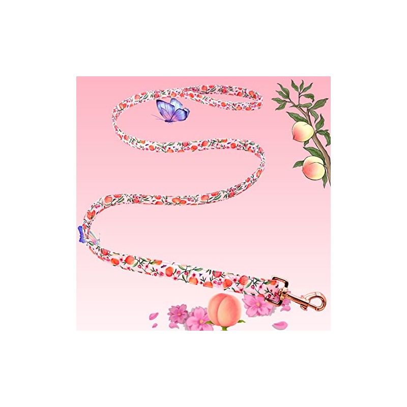 Lionheart glory Strong Dog Leash Pink Peach Girl Durable Dog